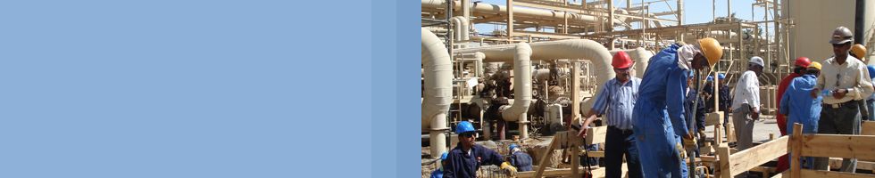 Your Local partner in Oil & Gas Sector